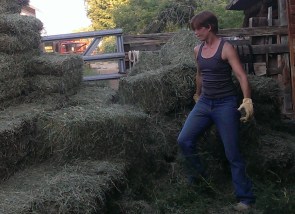 Moving Hay