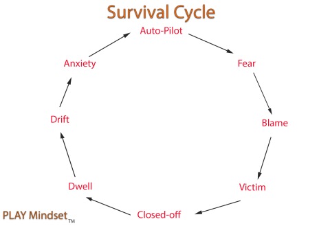 Survival_cycle